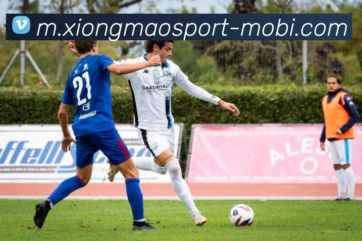 熊猫体育平台生态图